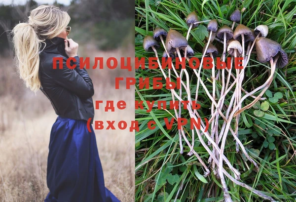 мет Абаза